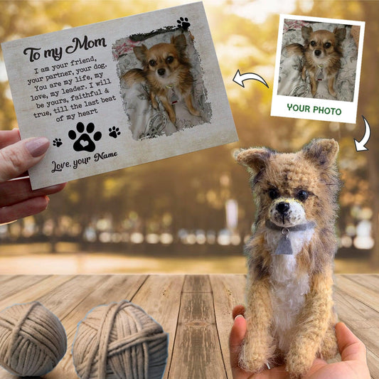 Personalized Crochet Doll with Photo Card "To My Mom Pet Portrait"