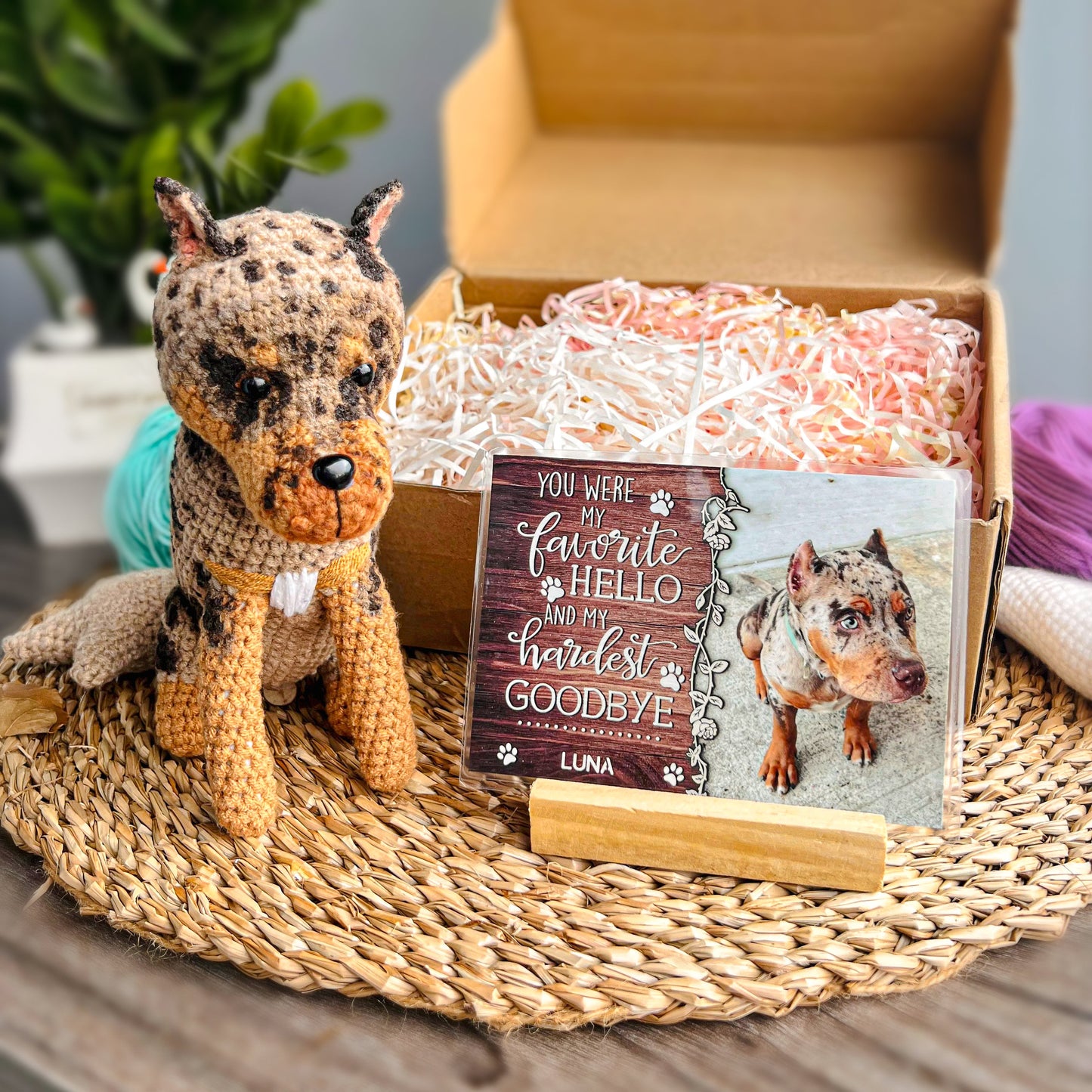 Personalized Crochet Doll with Photo Card "You Were My Favorite Hello"
