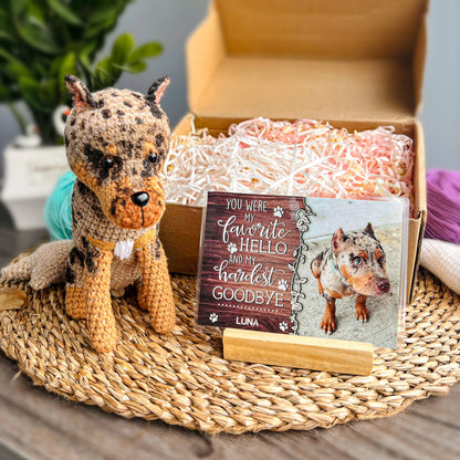 Personalized Crochet Doll with Photo Card "You Were My Favorite Hello"