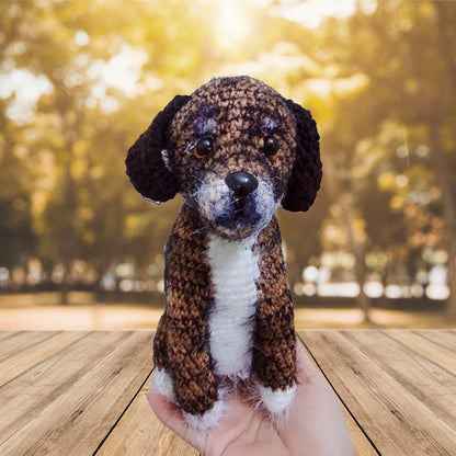 Personalized Crochet Doll with Photo Card "Life Is Short, Live It Pet Portrait"