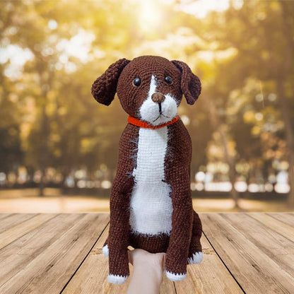 Personalized Crochet Doll with Photo Card "God Knew My Heart Needed You Pet Portrait"